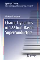 Aliaksei Charnukha - Charge Dynamics in 122 Iron-Based Superconductors