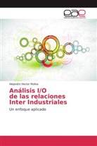Alejandro Héctor Molina - Análisis I/O de las relaciones Inter Industriales