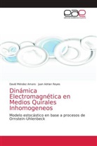 Davi Méndez Amaro, David Méndez Amaro, Juan Adrian Reyes - Dinámica Electromagnética en Medios Quirales Inhomogeneos