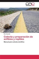 Pier Cacciali - Colecta y preparación de anfibios y reptiles
