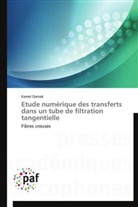 Kamel Damak, Damak-k - Etude numerique des transferts