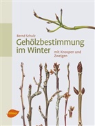 Bernd Schulz, Bernd Schulz - Gehölzbestimmung im Winter
