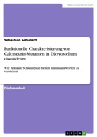 Sebastian Schubert - Funktionelle Charakterisierung von Calcineurin-Mutanten in Dictyostelium discoideum