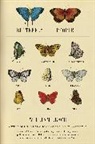 William R. Leach - Butterfly People