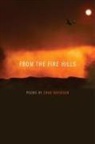 Chad Davidson - From the Fire Hills