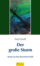 Paul Friedl - Der große Sturm