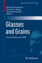 Thoma C Halsey, Thomas C Halsey, Bertrand Duplantier, Thomas C. Halsey, Vincent Rivasseau - Glasses and Grains