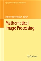 Maïtin Bergounioux, Maïtine Bergounioux - Mathematical Image Processing