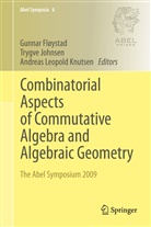 Gunnar Fløystad, Trygv Johnsen, Trygve Johnsen, Andreas Leopold Knutsen, Andreas Leopold Knutsen - Combinatorial Aspects of Commutative Algebra and Algebraic Geometry