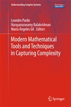 Maria Angeles Gil, Narayanaswam Balakrishnan, Narayanaswamy Balakrishnan, Maria Angeles Gil, Leandro Pardo - Modern Mathematical Tools and Techniques in Capturing Complexity