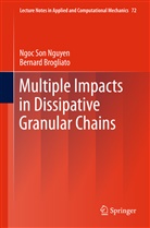 Bernard Brogliato, Ngoc So Nguyen, Ngoc Son Nguyen - Multiple Impacts in Dissipative Granular Chains