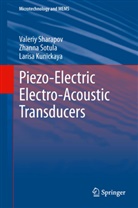 Larisa Kunickaya, Valeri Sharapov, Valeriy Sharapov, Zhann Sotula, Zhanna Sotula - Piezo-Electric Electro-Acoustic Transducers