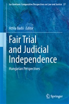 Attil Badó, Attila Badó - Fair Trial and Judicial Independence