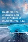 Dr Eloise Scotford, Eloise Scotford - Environmental Principles and the Evolution of Environmental Law