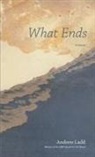 Andrew Ladd - What Ends