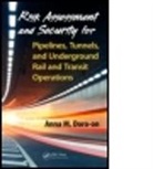 Anna M. Doro-on, Anna M. (Ramco Companies Doro-On - Risk Assessment and Security for Pipelines, Tunnels, and Underground