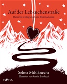 Selma Mahlknecht, Armin Barducci - Auf der Lebkuchenstraße