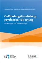 Bundesanstal für Arbeitsschutz und Arbeitsmed, Bundesanstalt für Arbeitsschutz und Arbeitsmed - Gefährdungsbeurteilung psychischer Belastung