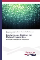 Fernando Israe Gómez Castro, Fernando Israel Gómez Castro, Vicent Rico Ramírez, Vicente Rico Ramírez, Juan Gabriel Segovia H. - Producción de Biodiesel con Metanol Supercrítico