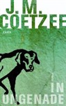 J. M. Coetzee - In ongenade