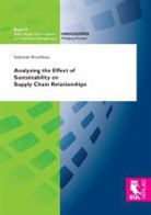 Sebastian Brockhaus, Wolfgan Kersten, Wolfgang Kersten - Analyzing the Effect of Sustainability on Supply Chain Relationships
