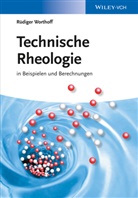 Rüdiger Worthoff - Technische Rheologie
