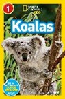 Laura Marsh - Koalas (National Geographic Kids Readers, Level 1)