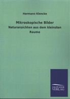 Hermann Klencke - Mikroskopische Bilder