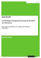 Anke Brandt - Nachhaltige Energiegewinnung am Beispiel der Biomasse