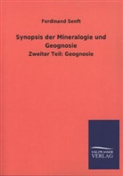 Ferdinand Senft - Synopsis der Mineralogie und Geognosie. Tl.2