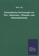 W A Lay, W. A. Lay - Schematische Zeichnungen zur Tier-, Menschen-, Pflanzen- und Mineralienkunde