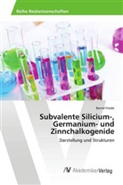 Bernd Friede - Subvalente Silicium-, Germanium- und Zinnchalkogenide