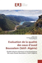 Zoubey Boudjemline, Zoubeyr Boudjemline, Younes Reguiai, Salih Trea, Saliha Trea - Evaluation de la qualite des eaux