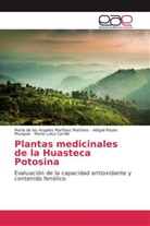 María Luisa Carrillo, María de los Angele Martínez Martínez, María de los Angeles Martínez Martínez, Reyes Mung, Abigail Reyes Munguía - Plantas medicinales de la Huasteca Potosina