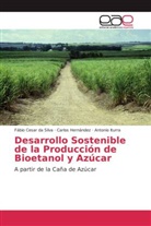 Fábi Cesar da Silva, Fábio Cesar da Silva, Carlo Hernández, Carlos Hernández, An Iturra, Antonio Iturra - Desarrollo Sostenible de la Producción de Bioetanol y Azúcar