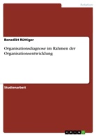Benedikt Rüttiger - Organisationsdiagnose im Rahmen der Organisationsentwicklung