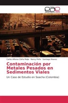 S Alvarez, Santiago Alvarez, Nanc Peña, Nancy Peña, Carlos Alfons Zafra Mejía, Carlos Alfonso Zafra Mejía - Contaminación por Metales Pesados en Sedimentos Viales