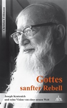 Christian Feldmann - Gottes sanfter Rebell
