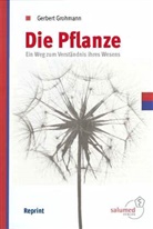 Gerbert Grohmann - Die Pflanze
