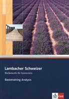 Lambacher-Schweizer Basistraining: Lambacher Schweizer Mathematik Basistraining Themenband Analysis