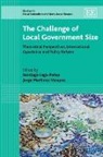 Santiago/ Martinez-Vazquez Lago-pelas, Santiago Lago-Penas, Santiago Martinez-Vazque Lago-Penas, Santiago Martinez-Vazquez Lago-Penas, Jorge Martinez-vazque, Santiago Lago-Penas... - Challenge of Local Government Size