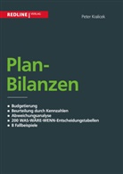 Peter Kralicek - Planbilanzen