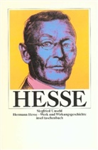 Hermann Hesse - Hermann Hesse Werk und Wirkungsgeschichte