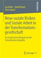 Bau, Detle Baum, Detlef Baum, Gojová, Alice Gojová, Kelle... - Neue soziale Risiken und Soziale Arbeit in der Transformationsgesellschaft