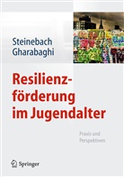 Gharabagh, Gharabaghi, Gharabaghi, Kiaras Gharabaghi, Steinebac, Christop Steinebach... - Resilienzförderung im Jugendalter