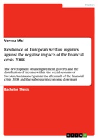 Verena Mai - Resilience of European welfare regimes against the negative impacts of the financial crisis 2008