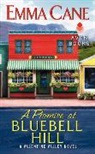 Emma Cane - A Promise at Bluebell Hill