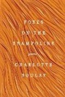 Charlotte Boulay - Foxes on the Trampoline