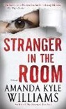 Amanda Kyle Williams - Stranger in the Room