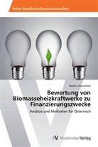 Markus Flaumitsch - Bewertung von Biomasseheizkraftwerke zu Finanzierungszwecke
